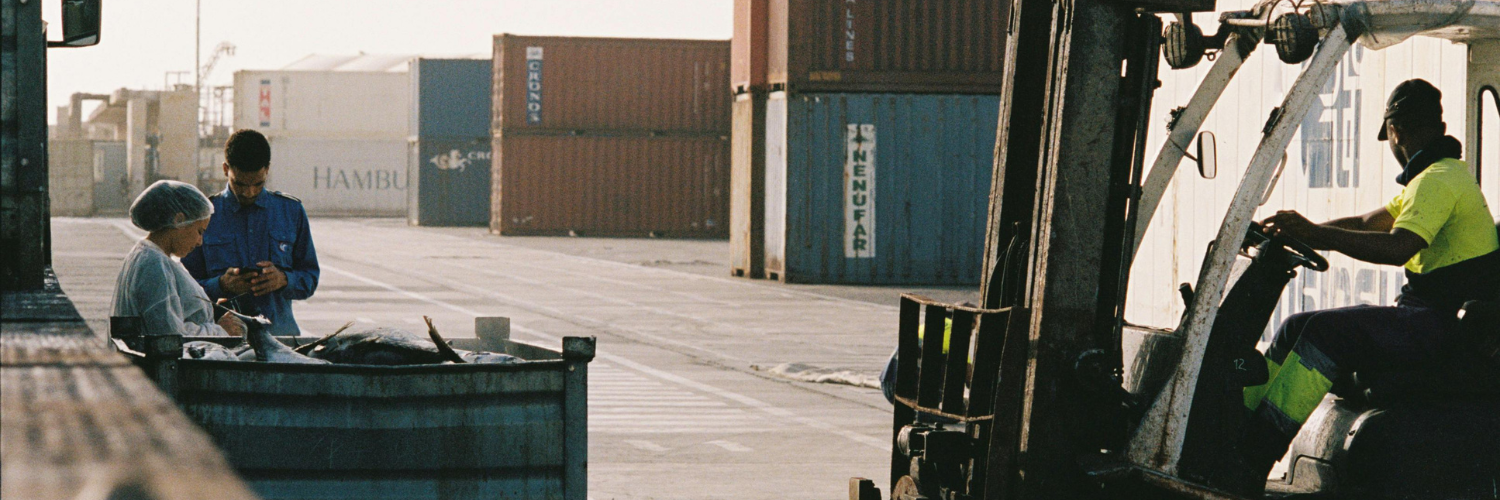 Desempeño de las Exportaciones de Bienes de Panamá a Marzo del Año 2026