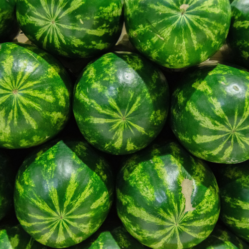 Desempeño Acumulado de las Exportaciones de Bienes de Panamá a febrero 2026