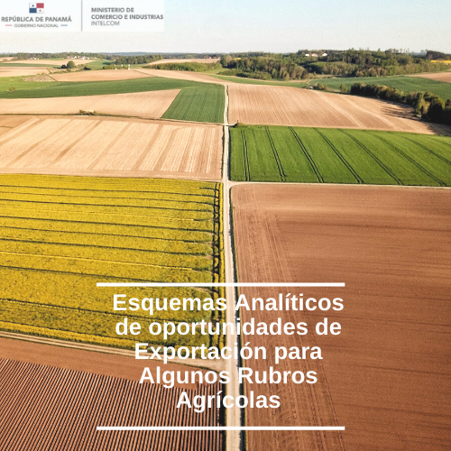 Esquemas Analíticos de oportunidades de Exportación para Algunos Rubros Agrícolas