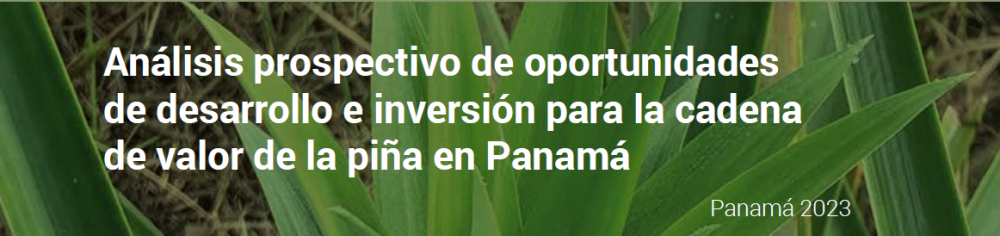 Análisis prospectivo de oportunidades de desarrollo e inversión para la cadena de valor de la piña en Panamá